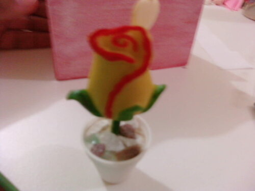 Vasinho Tulipa