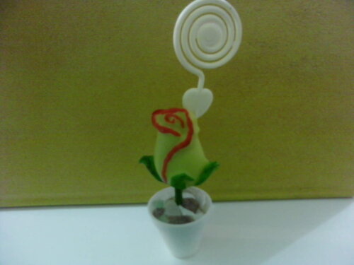 Vasinho Tulipa