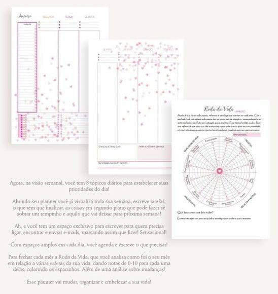 Planner Permanente Corações
