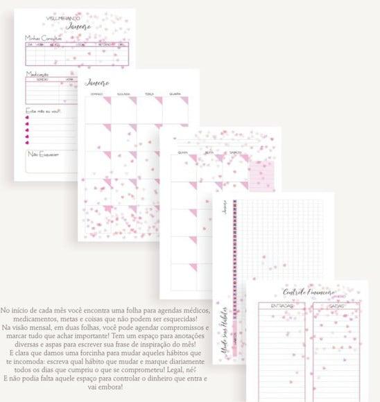 Planner Permanente Corações