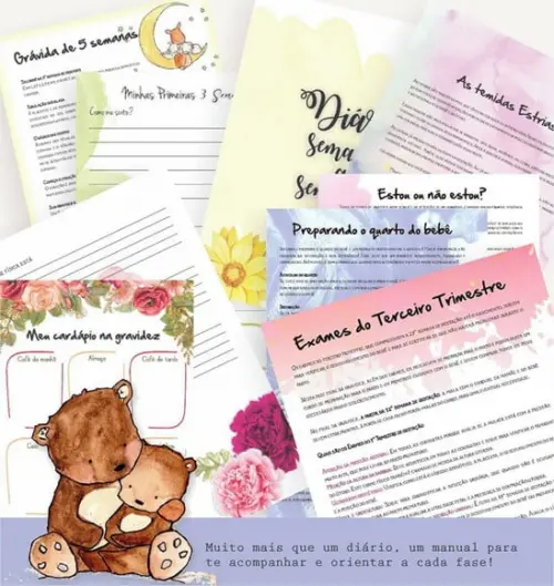 Manual e Diário de Gravidez