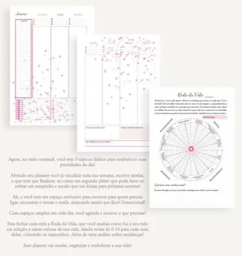Planner Permanente Corações