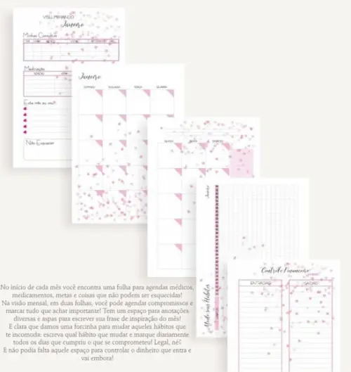 Planner Permanente Corações