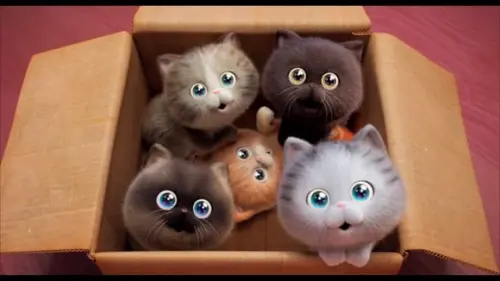 Caixa com Gatinhos RED: Crescer é uma Fera