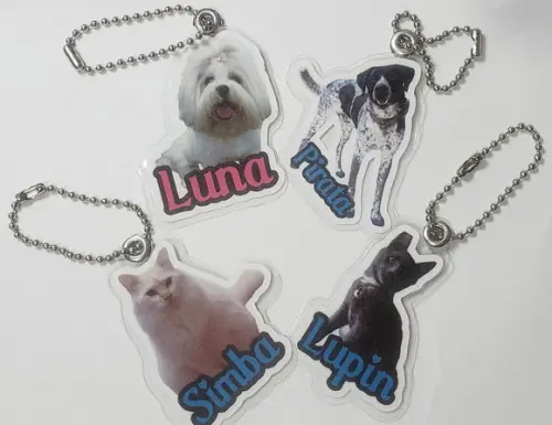 50 Chaveiros Personalizados Plastificado Recorte Especial