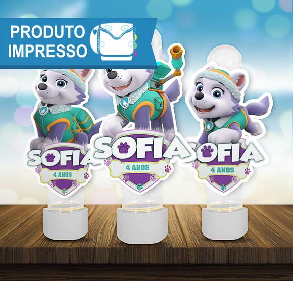 Aplique Personalizado para Tubete Everest da Patrulha Canina