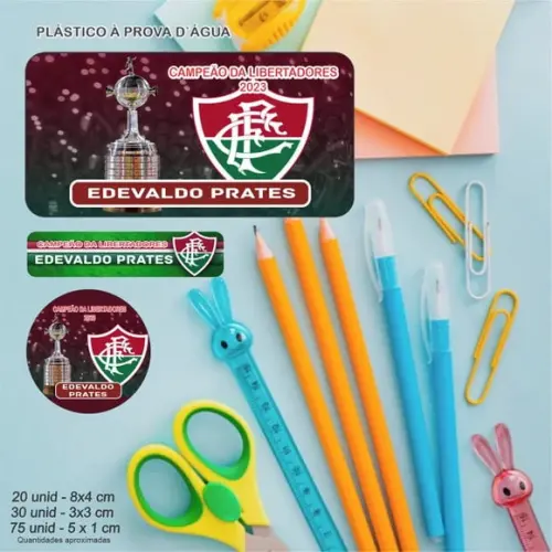 120 Etiquetas Escolares Fluminense Campeão Libertadores