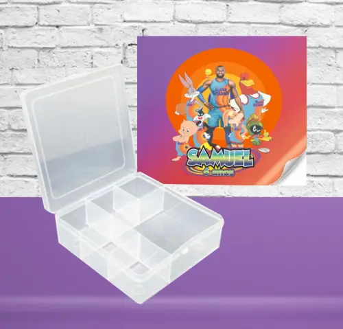 Adesivo Caixa Organizadora 6cx SPACE JAM