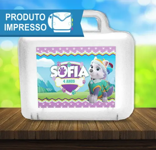 Adesivo Maletinha Everest