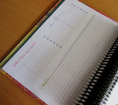Planner Permanente 2026 Personalizado