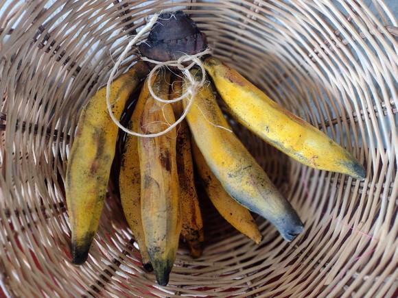 Bananas de Pano