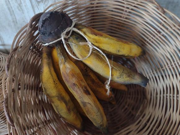 Bananas de Pano