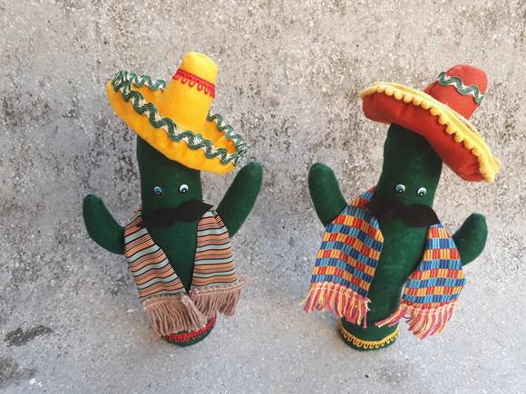 Cacto Mexicano Centro de Mesa