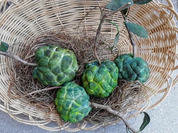 Fruta do Conde em Tecido