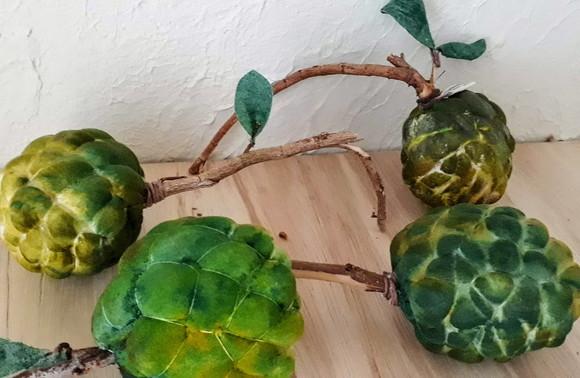 Fruta do Conde em Tecido