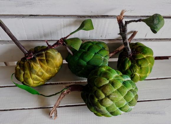 Fruta do Conde em Tecido