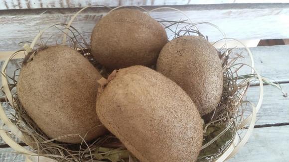 Kiwi em Tecido