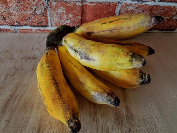 Palma de Banana em Tecido