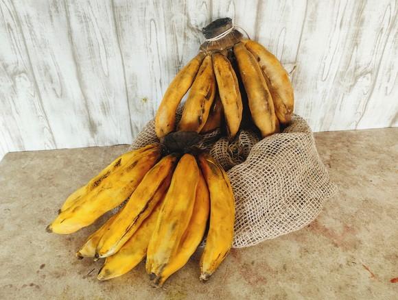 Palma de Banana em Tecido