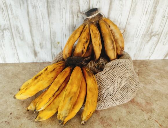 Palma de Banana em Tecido