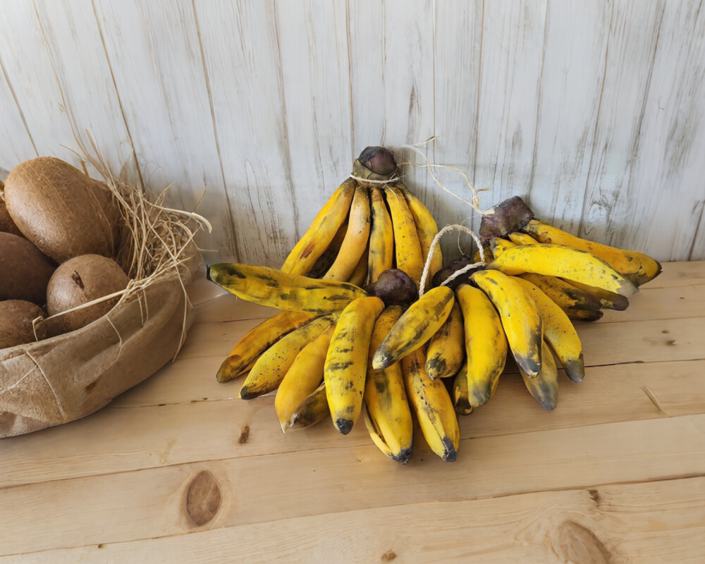 Bananas de Pano