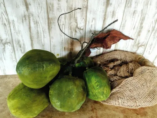 Cacho de Côco de Pano