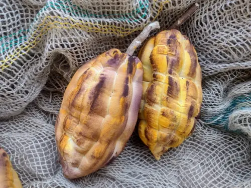 Cacau de Tecido (2 Unidades)