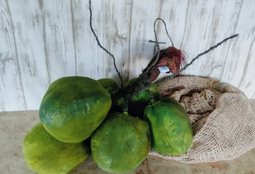 Cacho de Côco de Pano