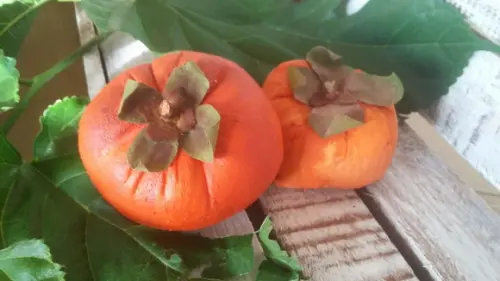 Caqui em Tecido