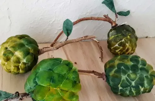 Fruta do Conde em Tecido