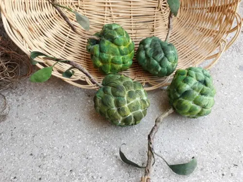 Fruta do Conde em Tecido