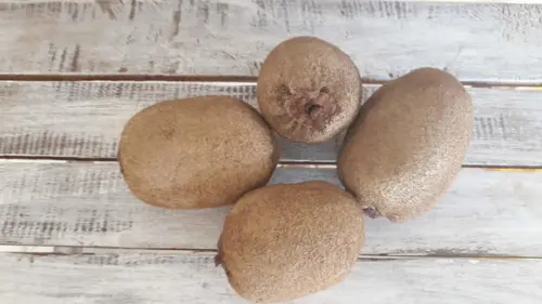 Kiwi em Tecido