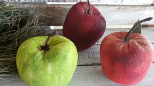 Maçã em Tecido Pintada à Mão