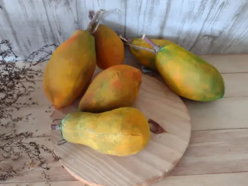 Mamão em Tecido