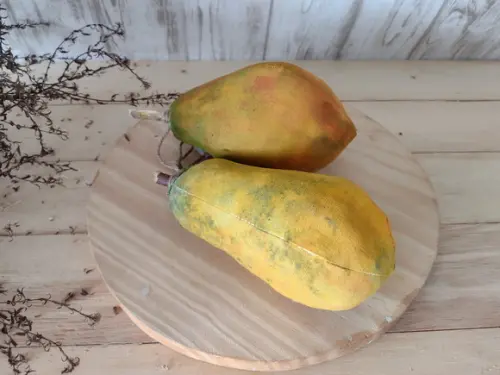 Mamão em Tecido