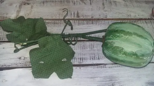 Mini Melancia em Tecido Pintada a Mão