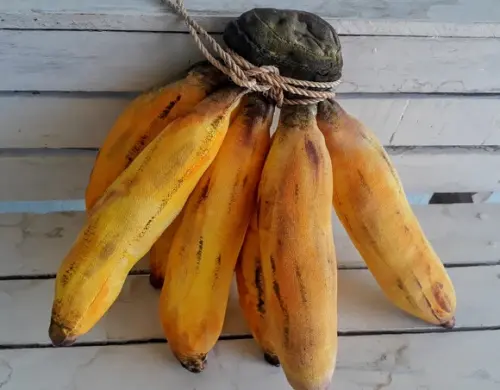 Palma de Banana em Tecido