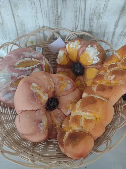 Pães em Tecido