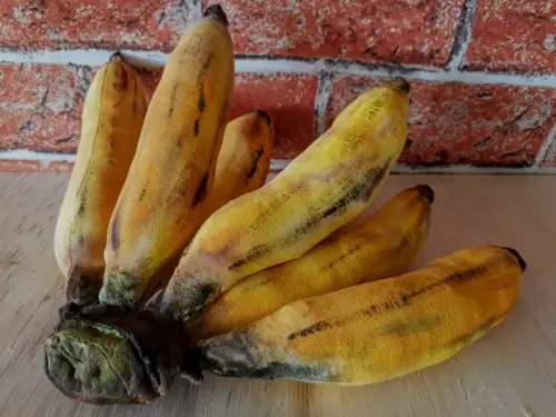 Palma de Banana em Tecido