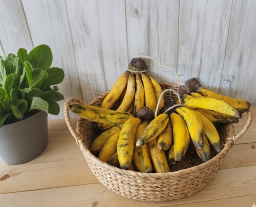Bananas de Pano