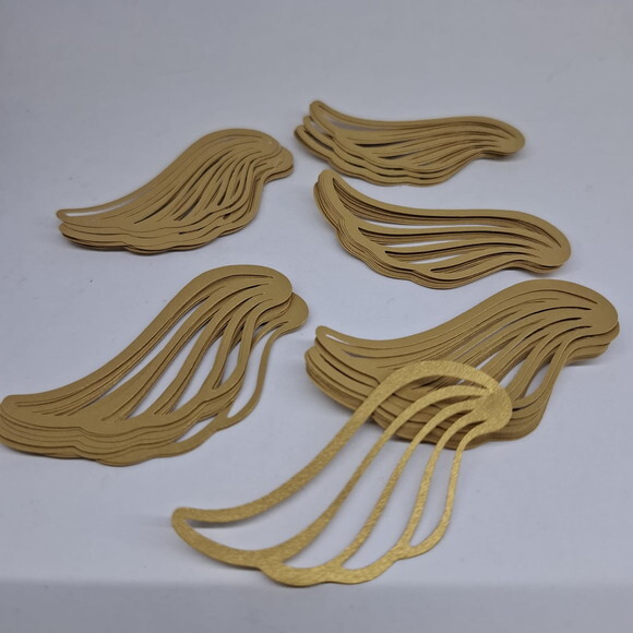 Asas Pomo de Ouro Harry Potter - 40 Pares