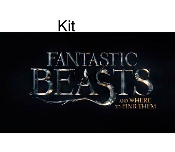 Kit Animais Fantásticos