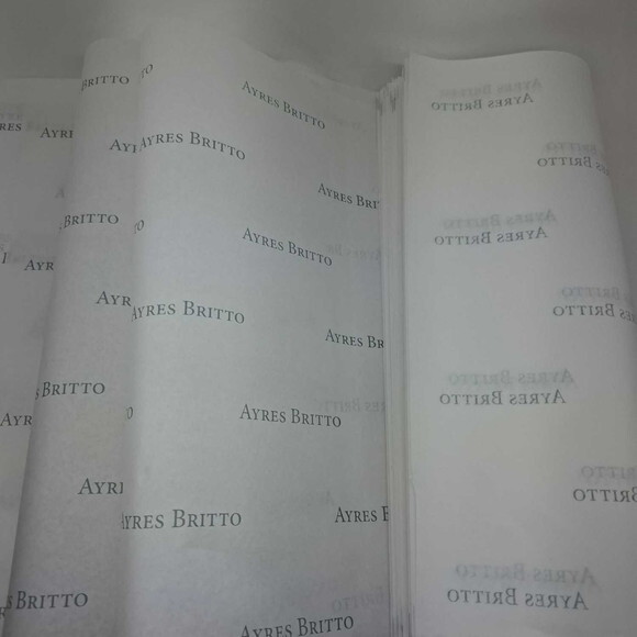 Papel de Seda Personalizado 30x60cm - 10 Folhas