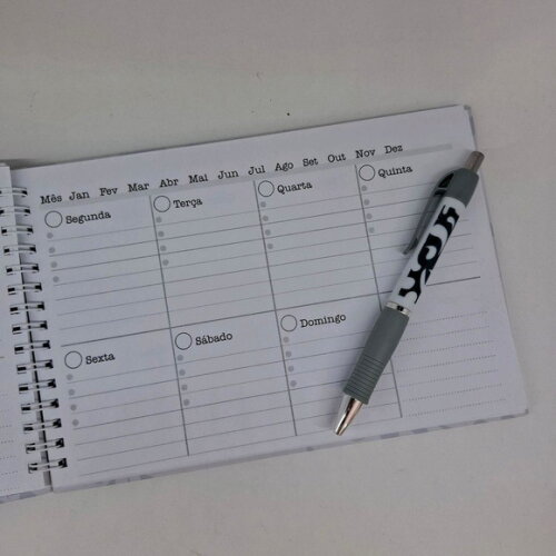Planner Mensal com caneta