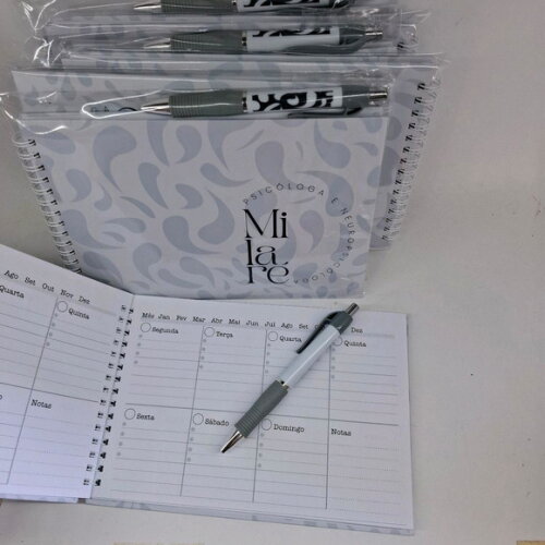 Planner Mensal com caneta