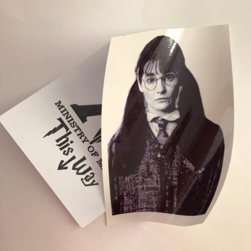 Adesivo Murta Harry Potter - 2 Pares