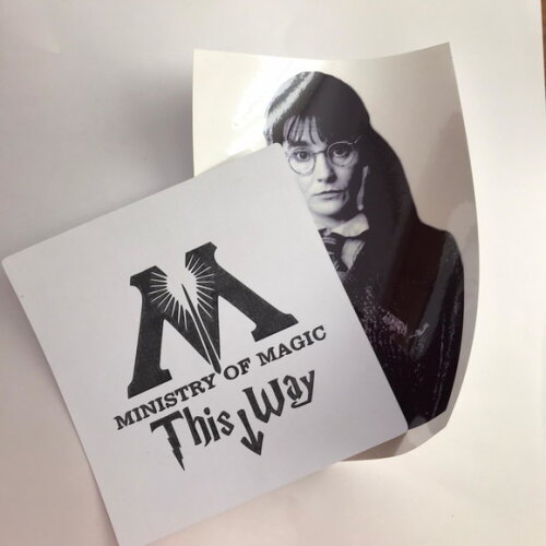 Adesivo Murta Harry Potter - 2 Pares