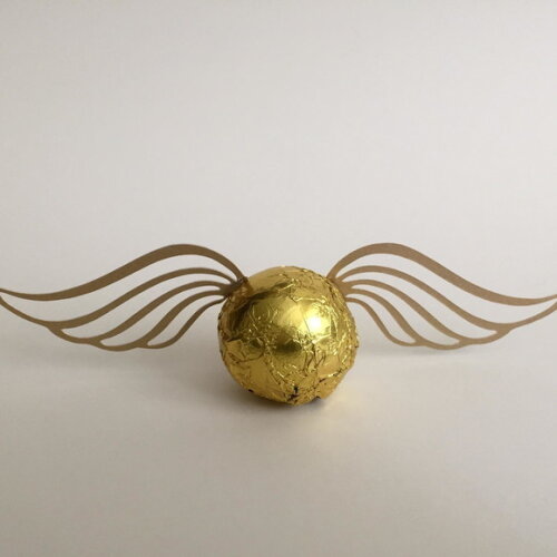 Asas Pomo de Ouro Harry Potter - 40 Pares