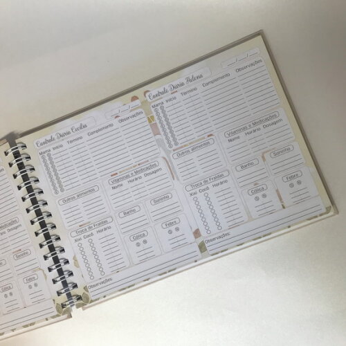 Caderno Rotina do Bebê Gêmeos