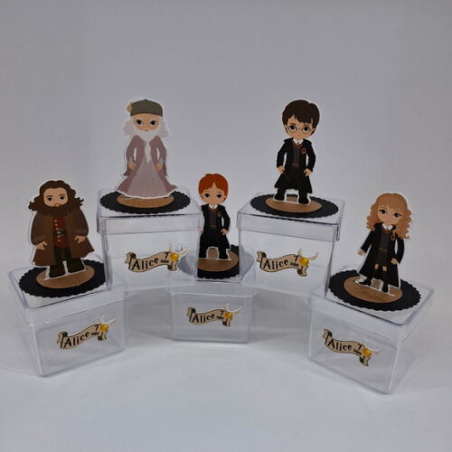 Caixinha Acrilica 3d Harry Potter - Kit 30u